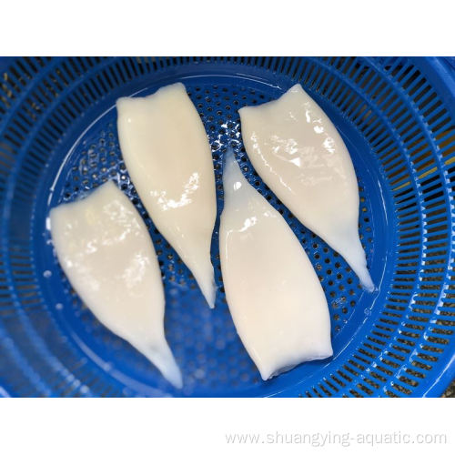 Best Quality Frozen Squid Tube Price For Export